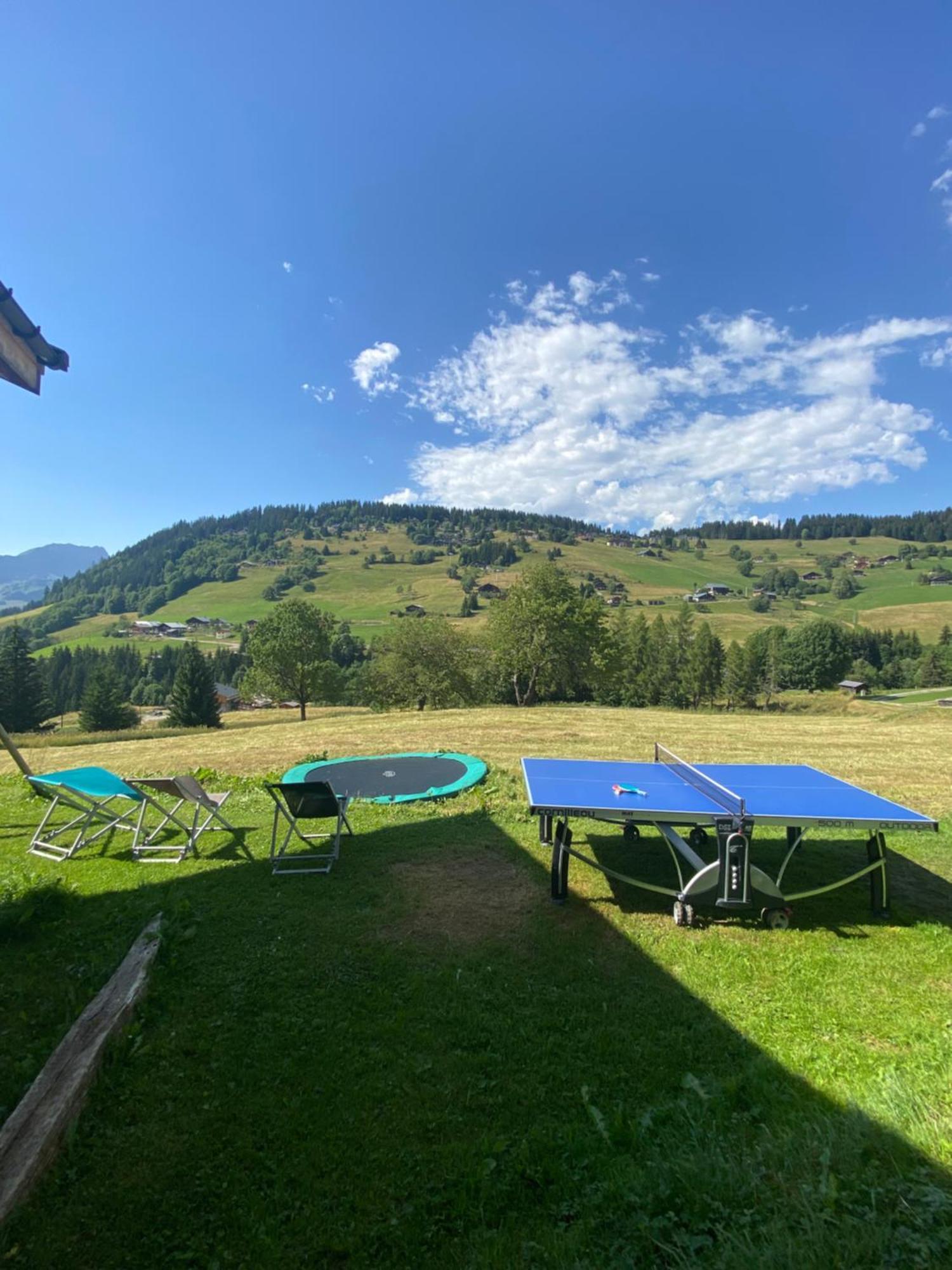 Aparthotel La Ferme des Georgières Notre-Dame-de-Bellecombe Esterno foto