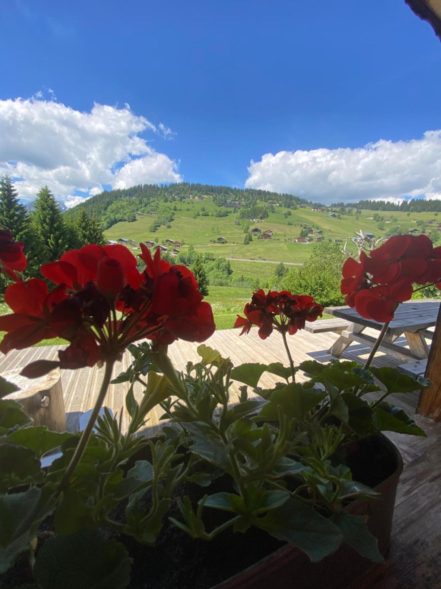Aparthotel La Ferme des Georgières Notre-Dame-de-Bellecombe Esterno foto